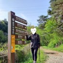 모악산공영주차장(중인리) 이미지