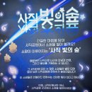 (광주야경명소) 데이트하기 좋은 사직 빛의 숲 (feat 주차 팁)