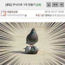 무지개파티