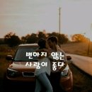 수니약국 이미지