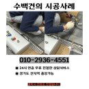 주안마원 이미지