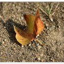 고북초등학교 이미지