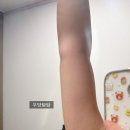 평촌1차한양 | 평촌다이어트한약 | “가로세로한의원 안양평촌” 6회차 6kg감량 리얼후기