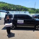 펫 포포즈 이미지