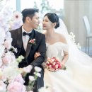 세인트41 이미지