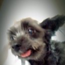 광영동 가야아파트 이미지