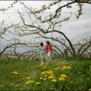 아산마을진입로 이미지