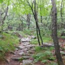 장산시장 Daum카페