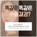 눈썹생각