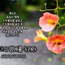 PICTURE&TEXT_20230702_창세기 5장 21-22절_감사의 명예를 누려라_오순절 후 다섯 번째 주일 & 맥추감사주일 묵상_ 이미지