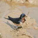 서울시 야생동물 구조관리센터 이미지