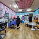 사랑방 헤어아트