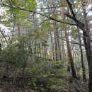 상동삼거리 이미지