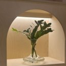 [미래로그] 사춘기 뇌발달 특성 이해 및 부모의 역할 | 아동·청소년 상담 : 세종 공존심리상담센터