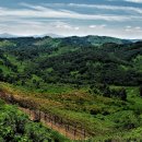 비무장지대 이미지