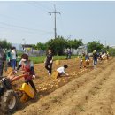 남촌도림동-7 이미지