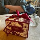 석동물병원 | 8월 창원, 2개월 아기 예방접종 | 애니스튜디오 50일 촬영 | 나의 생일 | 다시 롱디