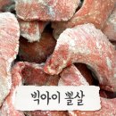 수정체육사 네이버블로그