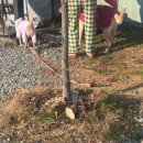 (주)크린몰 | [충주 캠프202] 4박 5일 크리스마스 캠핑 ㅣ 폴라리스 P1 매쉬로 동계 캠핑