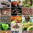 금오행정사 이미지