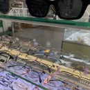 삼성안경 이미지