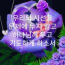 샬롬 Daum카페