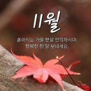 11월 인사말 이미지
