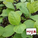 서누네농장 이미지