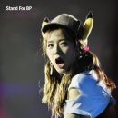 김지 이미지