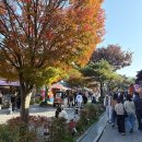 (주)팔도상회 | 전주 한옥마을 맛집 여행, 구경은 안하고 술만 마신 여행