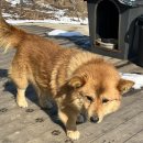 혜선농장 이미지