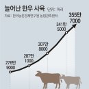 한우식육마트 이미지