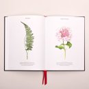 보테니컬 일러스트 이미지