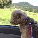 지예민박 이미지