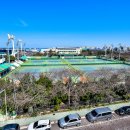 제주종합경기장연정정구장 이미지