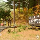 명가명품횡성한우프라자 이미지