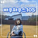 바우펜션 | 열번 넘게 방문한 바우하우스105 강원도 홍천 애견독채펜션 솔직후기