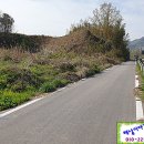 해남터널~송운교차로 | 대로변 땅(해남 옥천면 부동산 매물)