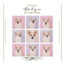 뽀꾸놀구 | [반려견사진관, 애견사진관, 증멍사진] 이층사진관에서 반려견 인생사진 찍고 온 후기