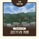 더골든트리(The golden tree) | 가평 베이커리카페 추천, 북한강 리버뷰가 아름다운 골든트리