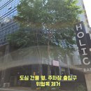 양천구청 지하출입구 옆 | 관악구 주차장 출입구 위험목 벌목 제거