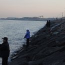 시화낚시 이미지