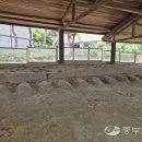 반송 탄요유적공원 탄요지 이미지