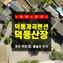 덕풍계곡민박 | [강원 / 삼척] 삼척펜션, 계곡 바로 앞 물놀이 천국! 덕풍계곡펜션 ‘덕풍산장’ C동 복층 투숙 찐후기!!!
