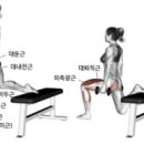 리핏바디짐 이미지