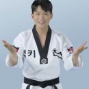 날개천