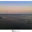 서광리-11 이미지