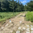 영천체육공원 이미지