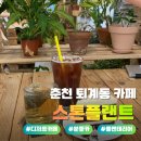 퇴계동입구 | [춘천 퇴계동 카페] 자연감성 디저트카페 "스톤플랜트" 방문 후기