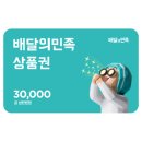 11번가 앱) 배민 3만원권 -＞ 27,700 / 카카오페이머니결제시 이미지